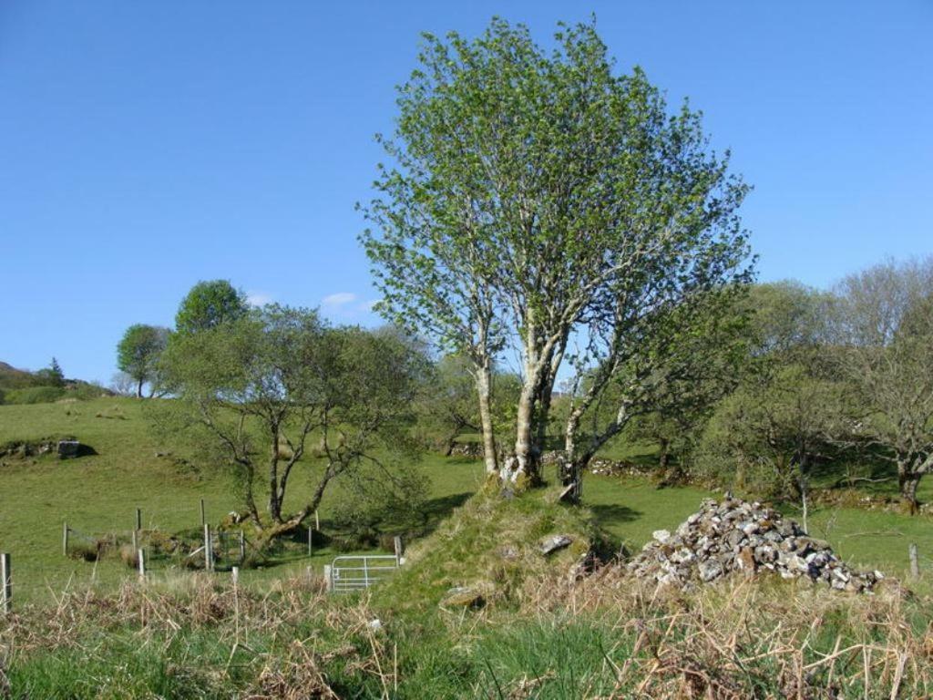The Bluestack Centre Hostel Donegal Town ภายนอก รูปภาพ